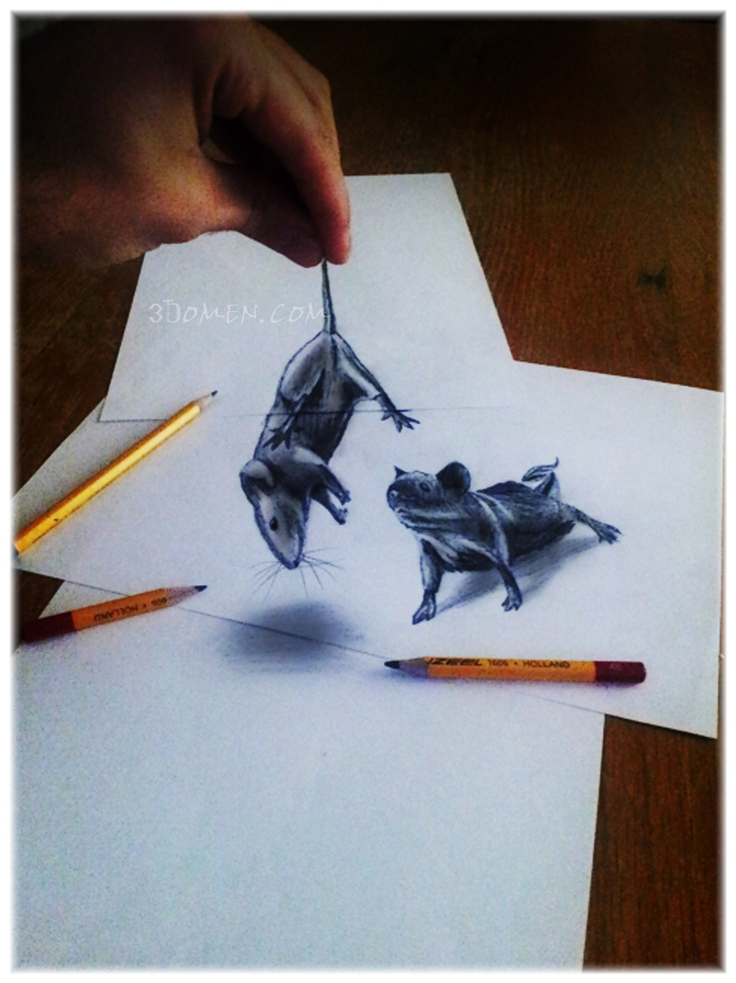 Impresionare dibujos con efecto 3d en simples hojas de papel