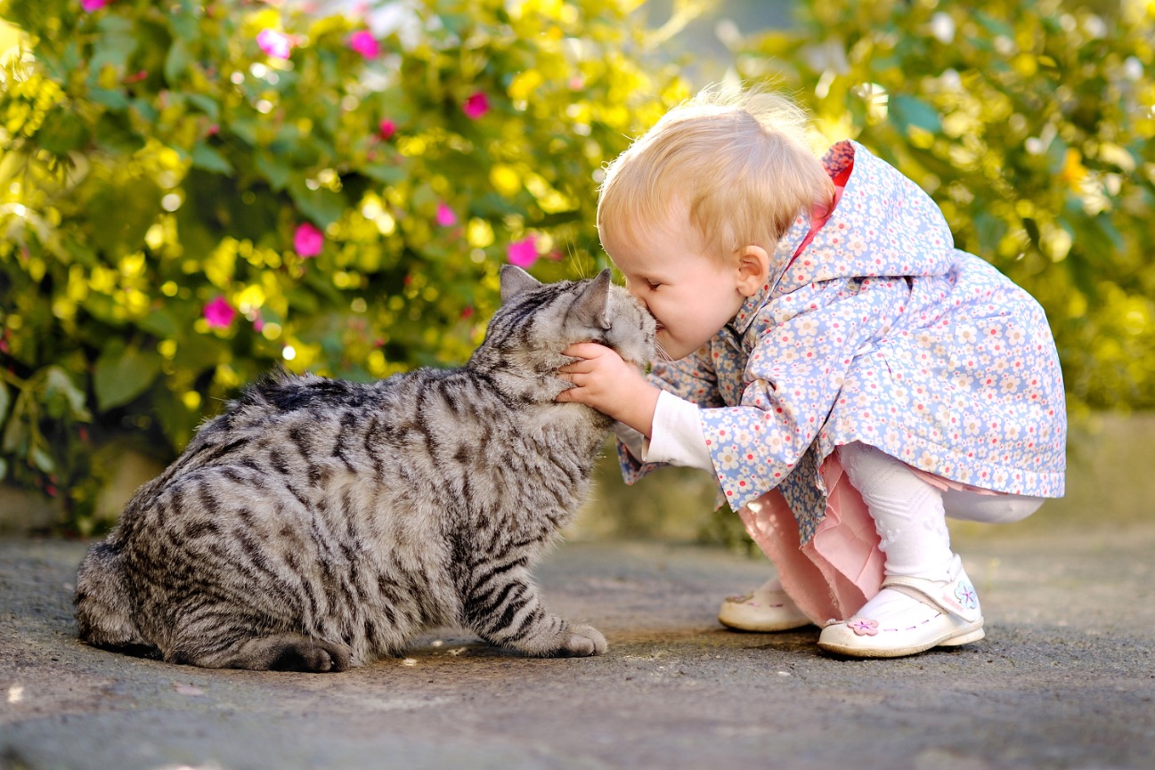 30 tiernas fotografías de niños con sus gatos