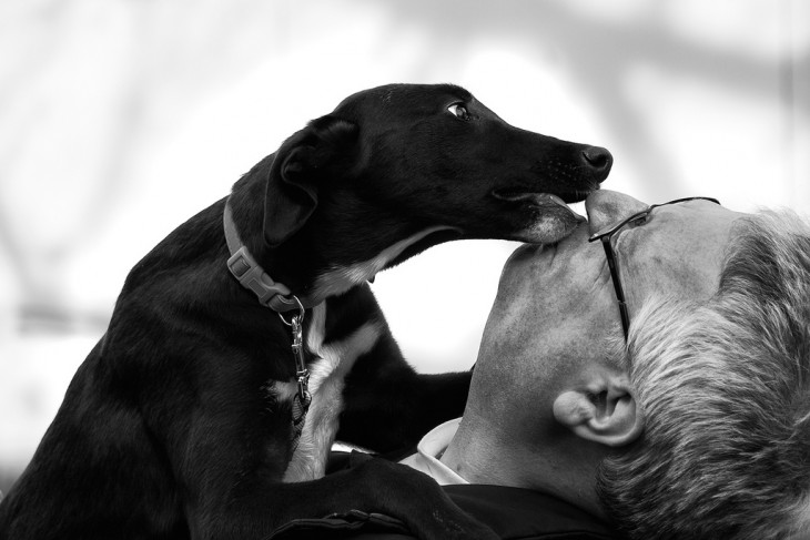 hombre mayor con un perro lamiendo su boca 