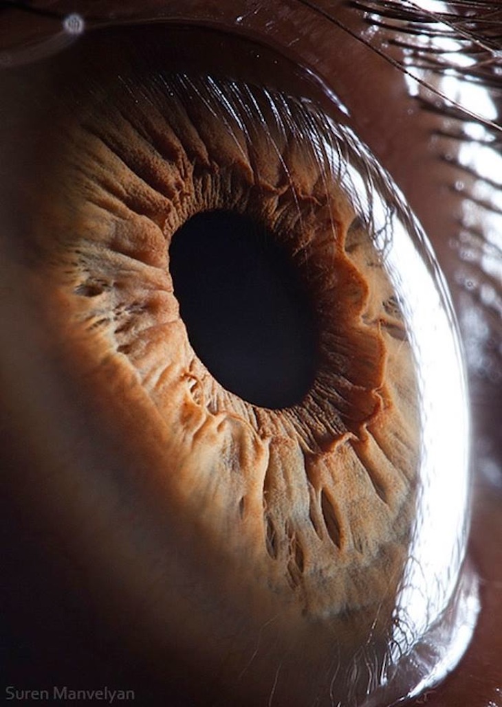 25 fotografías de ojos a detalles por Suren Manvelyan