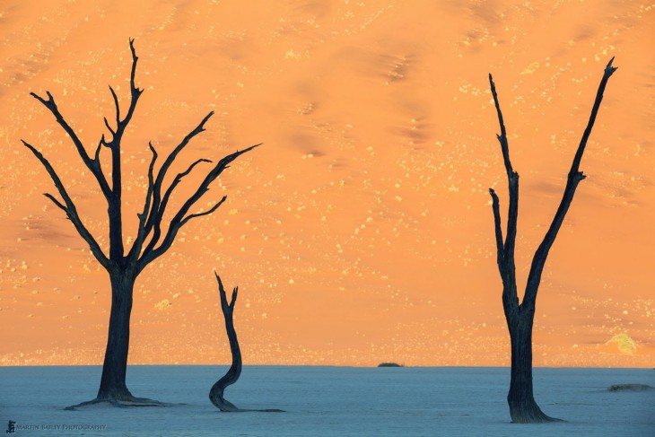 Fotografía de San Dunes en Namibia