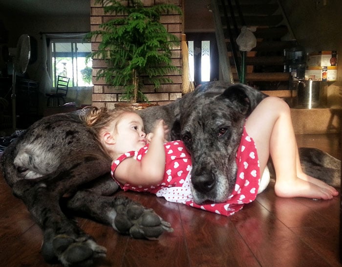 niña jugando con perrito negro