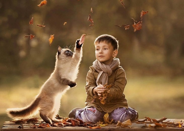 Niño y su gato recogiendo flores secas de un árbol 