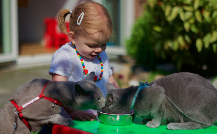 Niña frente a dos gatos que comen de un plato 