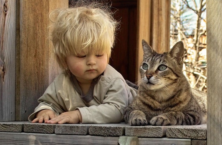 Niño acostado a un costado de un gato sobre madera 