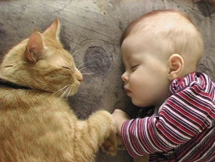 Un niño y su gato dormidos frente a frente 