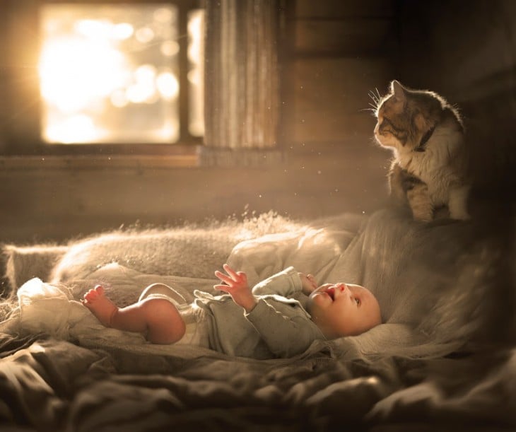 niño acostado y viendo a su gato hacia arriba 