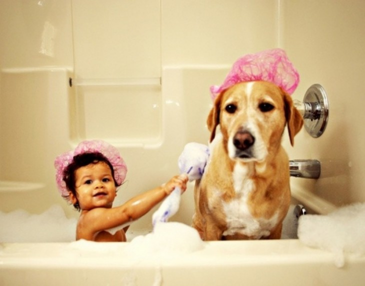 Niño junto a un perro con gorras de baño en color rosa dentro de una tina con espuma 