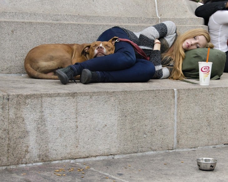 Perro recostado junto a su dueña en una calle 