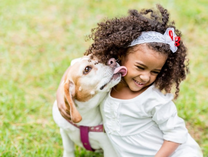 Perro lamiendo la cara de una niña