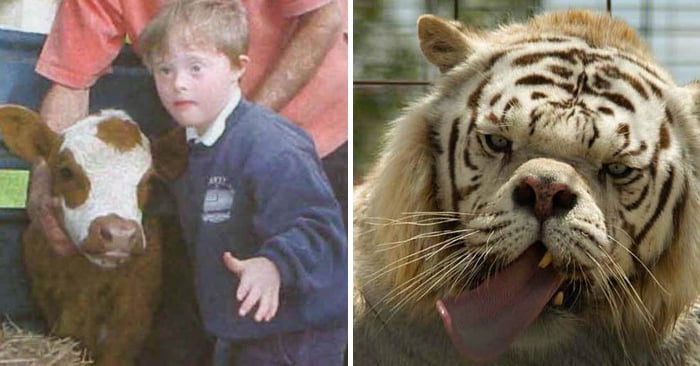 Niño salva a animales con Síndrome de Down