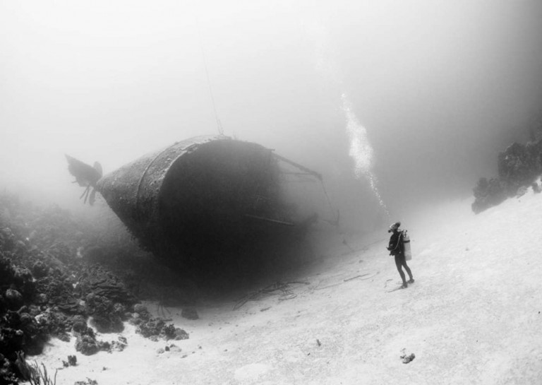 Las Mejores Fotografías De National Geographic Del 2015