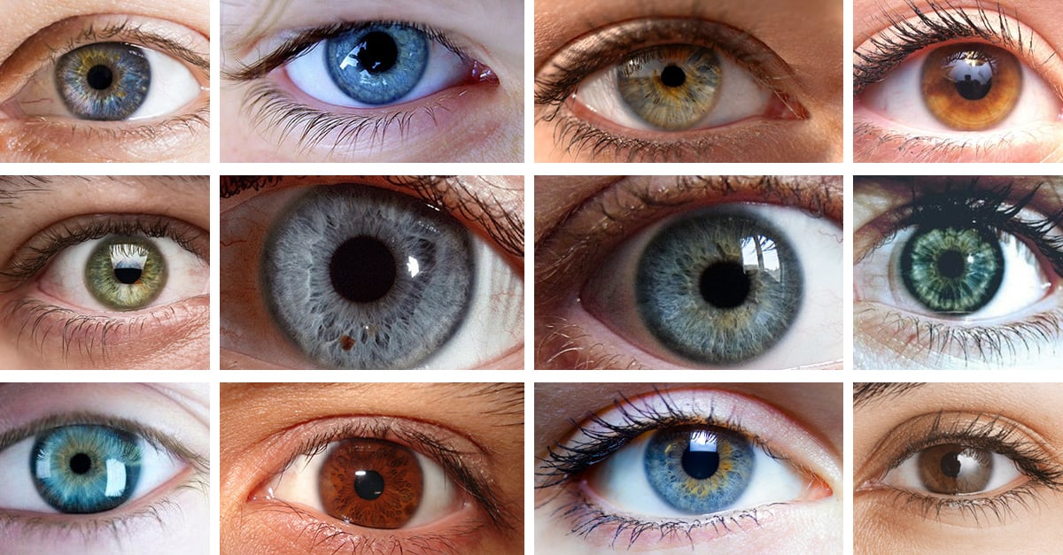 el de ojos color cover tus como eres revelan ojos según color el de Científicos tus