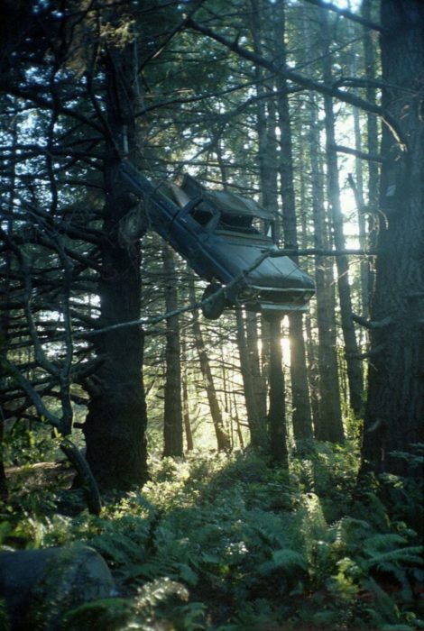 Fotos sin explicación. Una camioneta enredada en las ramas de un árbol alto