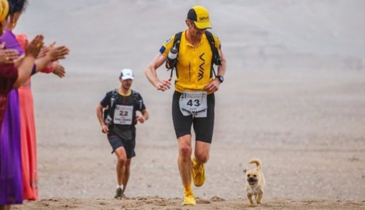 Cachorrita y maratonista corriendo mientras la gente les aplaude