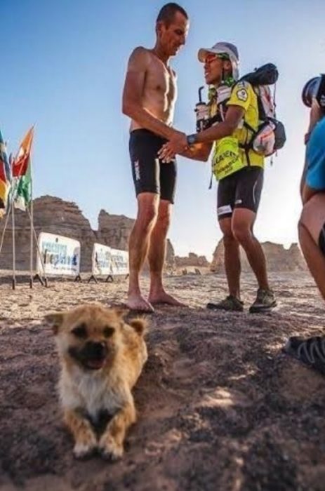 Al fondo se ven dos maratonistas saludandose y al frente se ve la cachrrita acostada