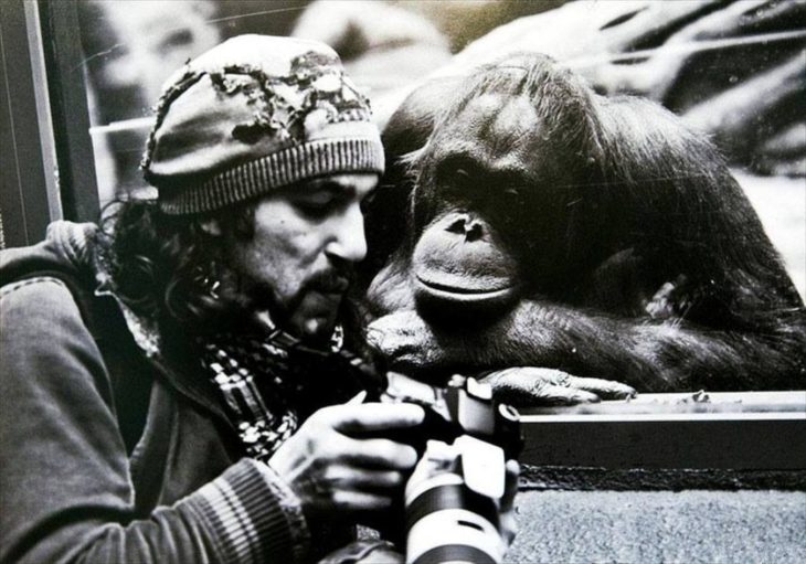 fotógrafo mostrando fotografía a un primate