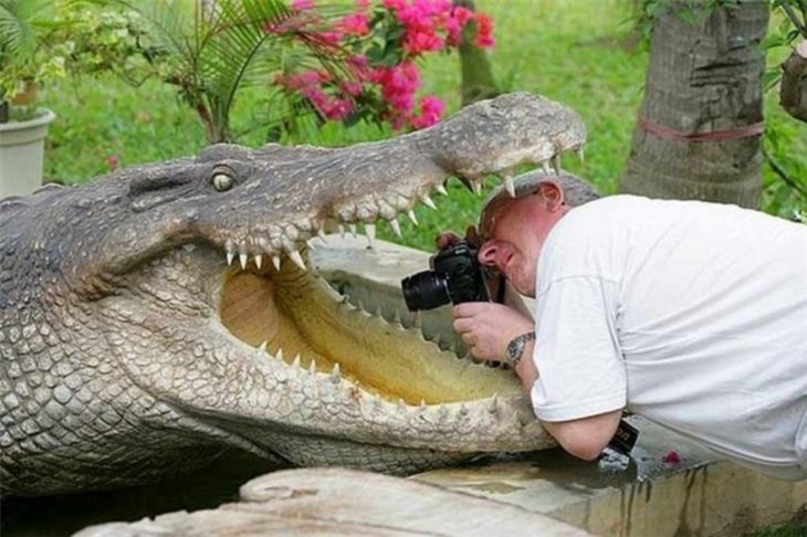 hombre fotografiando boca de cocodrilo