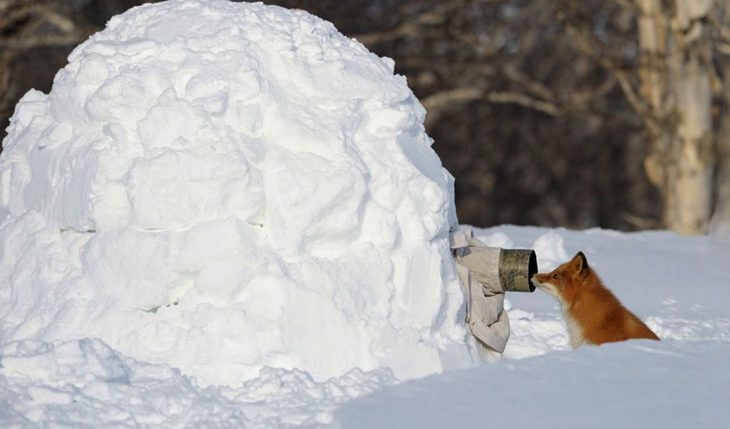 fotógrafo dentro de una bola de nieve