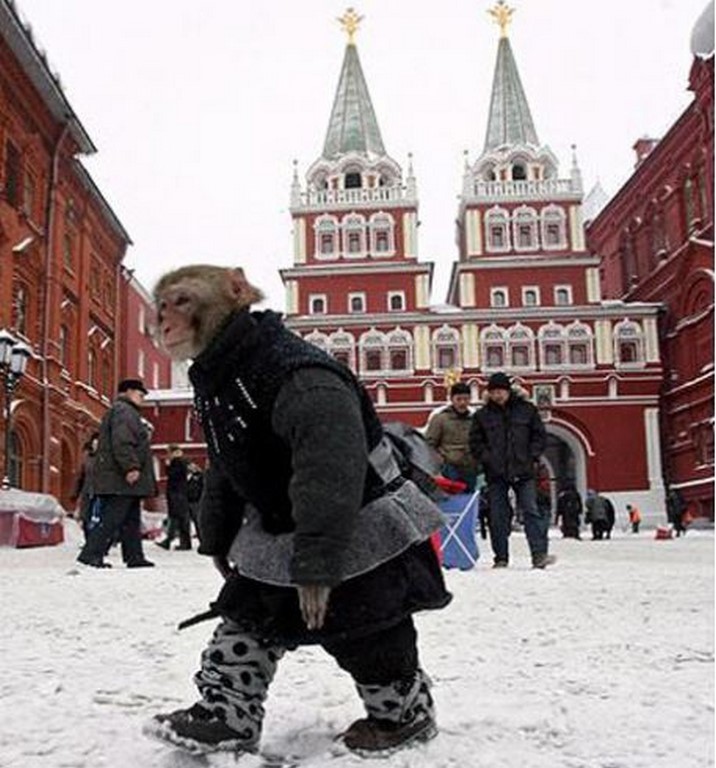 Москва весело. Кремль прикол. Смешной Кремль. Приколы на красной площади у. Московские приколы.