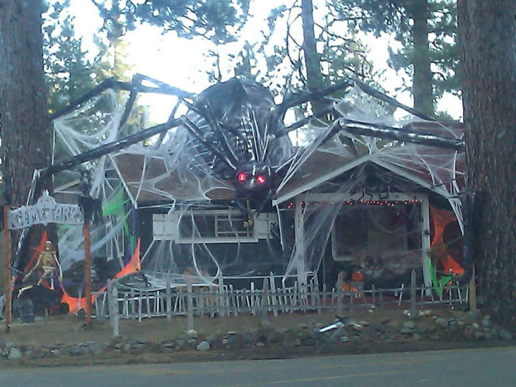 decoración de exterior halloween araña gigante