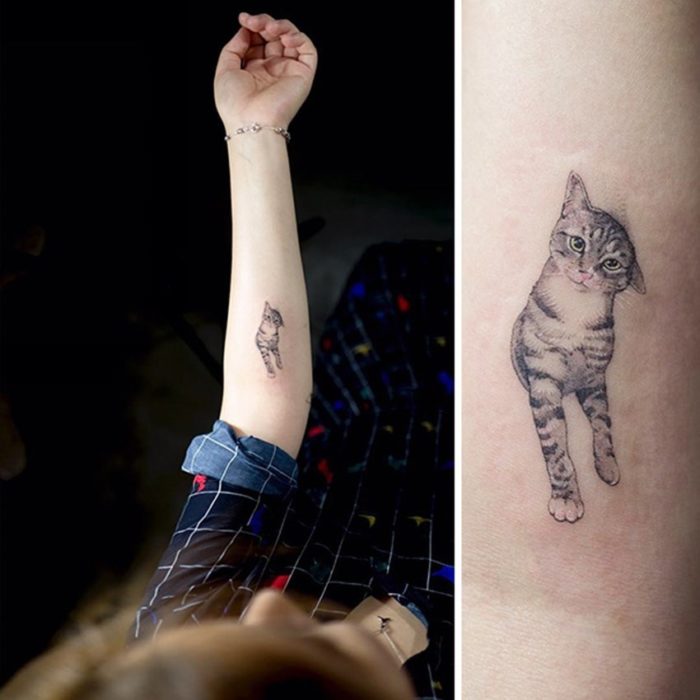 Tatuaje de gato caminando en el brazo de su dueña