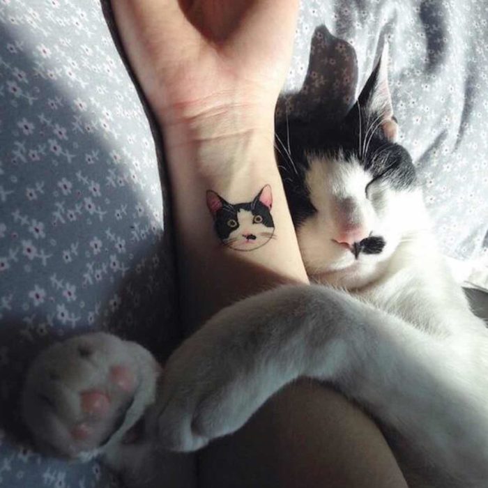 Un gato y su retrato hecho en tatuaje
