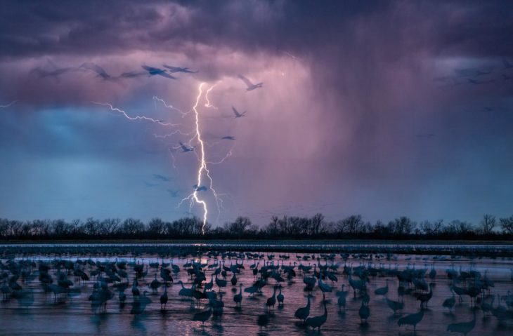 tormenta de rayos sobre río y aves 