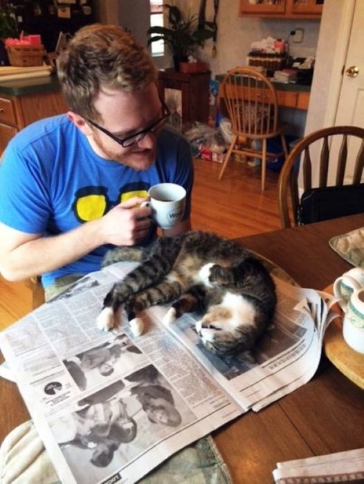 gato acostado en el periodico que su dueño queria leer