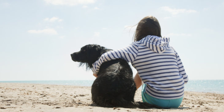 abrazo niña perro playa