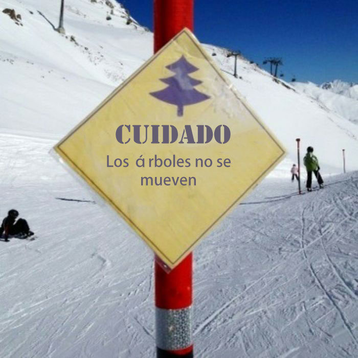 los árboles no se mueven precaución