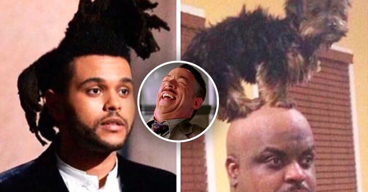 Memes que demuestran que The Weeknd tiene el mejor peinado