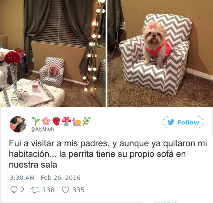 sillón perrito